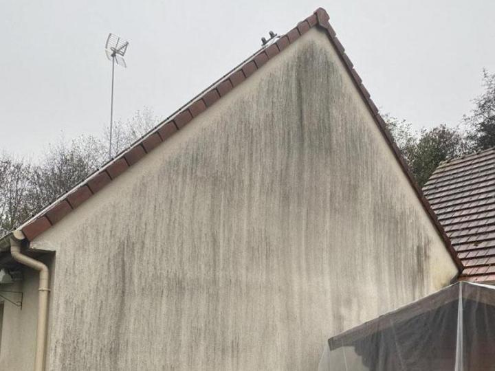 Service Nettoyage de façades Tournan-en-Brie 