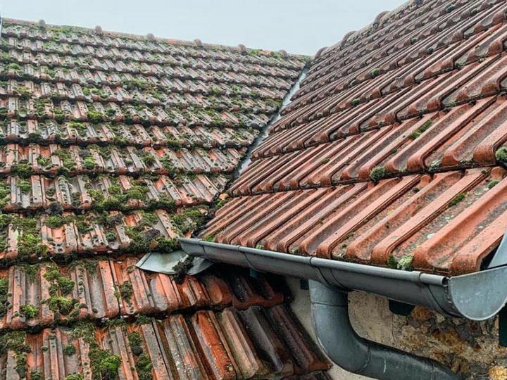 Service de Démoussage toiture Tournan-en-Brie