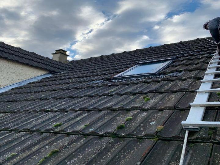 Service de Nettoyage de toiture à vapeur Tournan-en-Brie